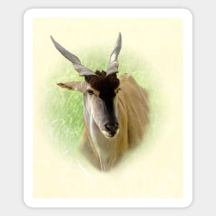 Eland antelope Sticker